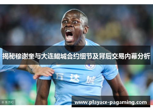 揭秘穆谢奎与大连鲲城合约细节及背后交易内幕分析