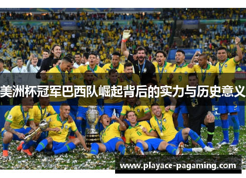 美洲杯冠军巴西队崛起背后的实力与历史意义