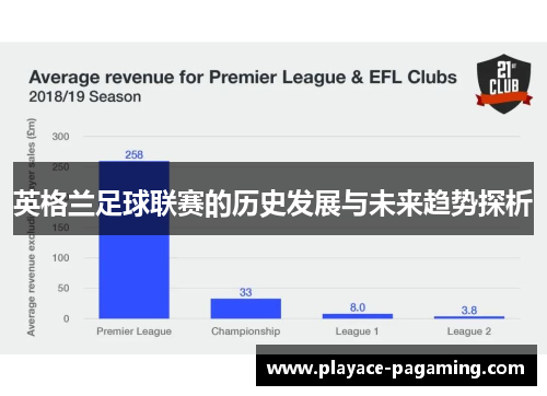 英格兰足球联赛的历史发展与未来趋势探析 英格兰足球联赛的历史发展与未来趋势探析