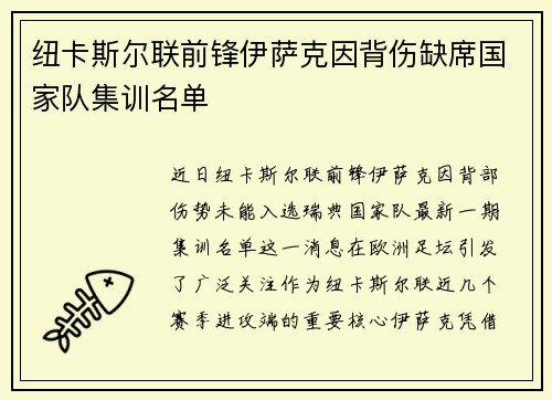 纽卡斯尔联前锋伊萨克因背伤缺席国家队集训名单 纽卡斯尔联前锋伊萨克因背伤缺席国家队集训名单